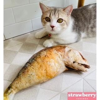🐟ตุ๊กตาปลาทู หมอนข้างปลาทู เหมือนจริงมาก ปลาทูตัวใหญ่ ของเล่นแมว ราคาถูก 🧺พร้อมส่ง มีเก็บปลายทาง🚚