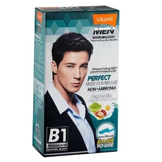 โลแลนฟอร์เมน ครีมเปลี่ยนสีผม สะดวกใช้งานง่าย Easy To Use 20 g