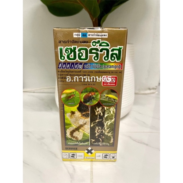 ใช้โค้ตพร้อมกันได้ เซอร์วิส 500cc อะซีทามิพริด เพลี้ยไฟ เพลี้ยจักจั่น แมลงหวี่ขาว เพลี้ยแป้ง