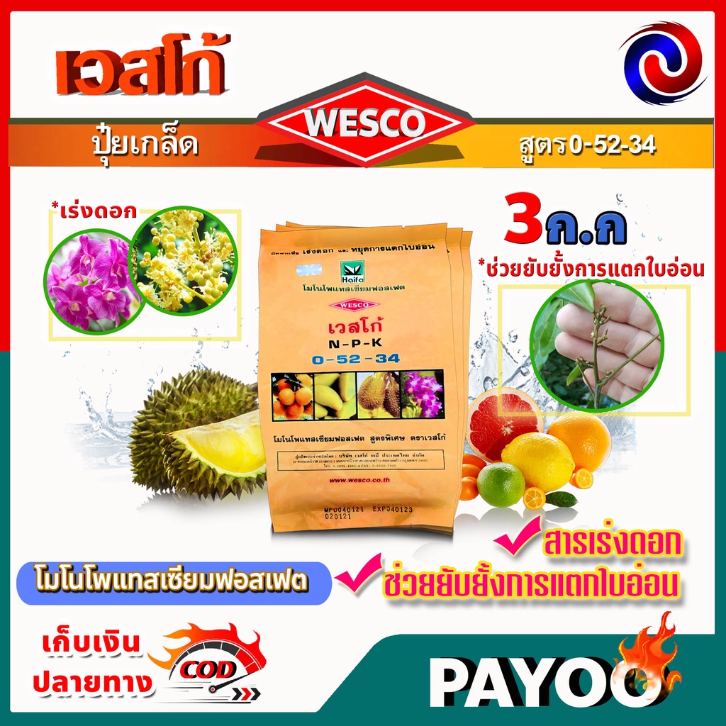 บรรจุ 3 กิโลกรัม WESCO ปุ๋ย 0-52-34 โมโนโพแทสเซียมฟอสเฟต ปุ๋ยเกล็ด เวสโก้ เร่งดอกและช่วยยับยั้งการแต