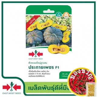 เมล็ดอวบอ้วน100%ศรแดง เมล็ดพันธุ์ฟักทอง  ฟักทองลูกผสม ประกายเพชร F1  (East-West Seed) เมล็ดพันธุ์ ผักสวนครัว ตราศรแดงเมล