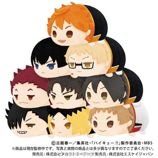 (รบกวนอ่านก่อนกดสั่งซื้อ)​ ไฮคิวคู่ตบฟ้าประทาน haikyuu