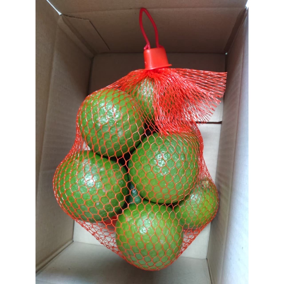 มะนาวปลอดสารพิษ ขนาด 1 กิโลกรัม