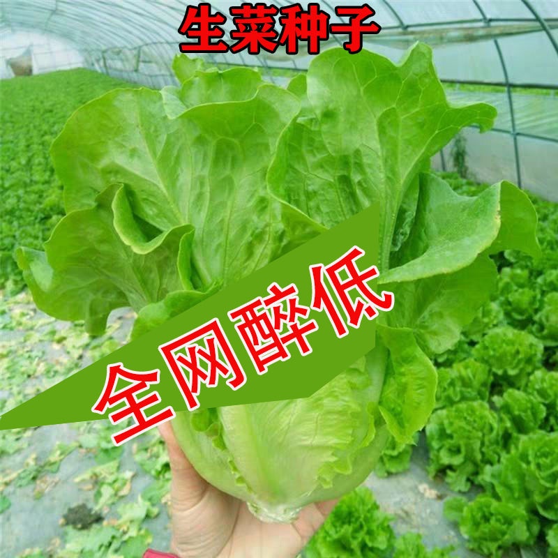 My Image 36