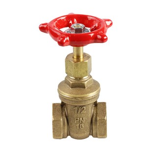 ประตูน้ำ ประตูน้ำทองเหลือง CITY 1/2 นิ้ว วาล์วน้ำ งานระบบประปา BRASS GATE VALVE CITY 1/2"