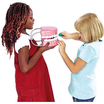 : Edu Toys : แบบฟันจำลองขนาดใหญ่พร้อมแปรงสีฟัน สื่อการสอนการแปรงฟัน