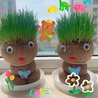 หญ้าแมว ตุ๊กตาหัวหญ้า ตุ๊กตาหญ้า grass head DIY กระถางสร้างสรรค์ ของขวัญ