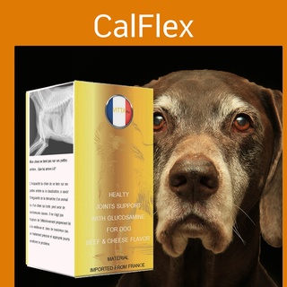 Calflex สุนัข pantip calflex pantip CalFlex pantip ยา Antinol สุนัข หมา ขา บวม มาก ทํา ไง กายภาพบําบัดสุนัขเดินไม่ได้ หม