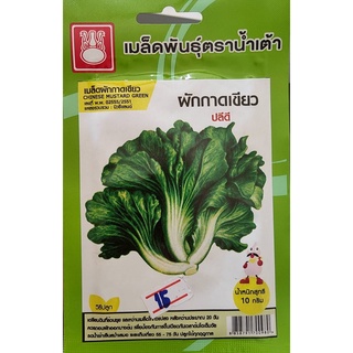 ผักกาดเขียวปลี 💥ผักกาดเขียว ปลีดี💥หมดอายุ 05/07/2566🌿เมล็ดพันธุ์ ผักกาดเขียวปลี บรรจุ10 กรัม/3000เมล็ด งอกดี กอใหญ่