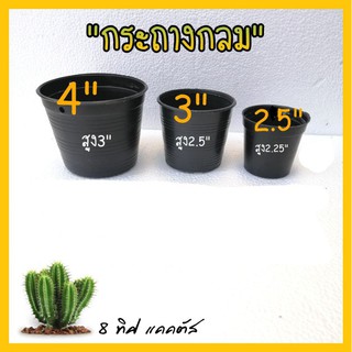 กระถาง กลมธรรมดา // กระถาง กลม ขนาด 2.5 นิ้ว 3 นิ้ว 4 นิ้ว  กระถางพลาสติก กระถางแคคตัส กระบองเพชร