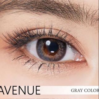 คอนแทคเลนส์ ลาย Avenue