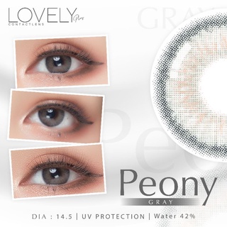 คอนแทคเลนส์ สายตา-แฟชั่น สีเทา สาย ฝ. Lovely plus peony gray.