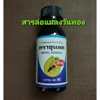 สารล่อแมลงวันทอง ( methyl eugenol 100%) ตราขุนพล 30cc **สารใหม่สด คุณภาพสูง**