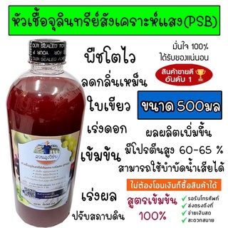 หัวเชื้อจุลินทรีย์สังเคราะห์แสง จุลินทรีย์สังเคราะห์แสง 0.5ลิตร (PSB) สูตรเข้มข้น สะอาด เพิ่มธาตุอาหาร