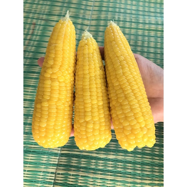 เมล็ดข้าวโพดเทียนเหลืองสายน้ำผึ้ง