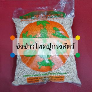 ซังข้าวโพด ปูกรงสัตว์