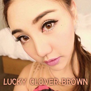 Luckyclover Brown TATOTO Contact Lenses คอนแทคเลนส์ #30