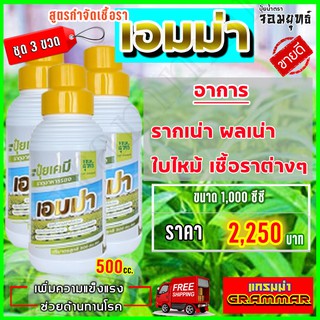 🔥🔥 ส่งฟรี 🔥🔥เอมม่า ปุ๋ยน้ำเอมม่า ( 500 ซีซี  3 ขวด) ป้องกันการเกิดเชื้อราในพืช ปุ๋ยน้ำสูตรเข้มข้น เพิ่มความแข็งแรงพืช