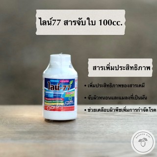 ไลน์77 (สารจับใบ) สารเคลือบใบ สารเพิ่มประสิทธิภาพ ตราเกือกม้าUnochem