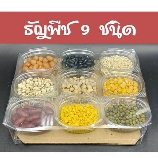 สดใหม่!! ธัญพืช 9 ชนิด/ข้าวสาร 9 สี ไหว้บูชา พระพิฆเนศ องค์เทพ บูชาแม่สาริกา ธัญพืช ของบูชาพระพิฆเนศ