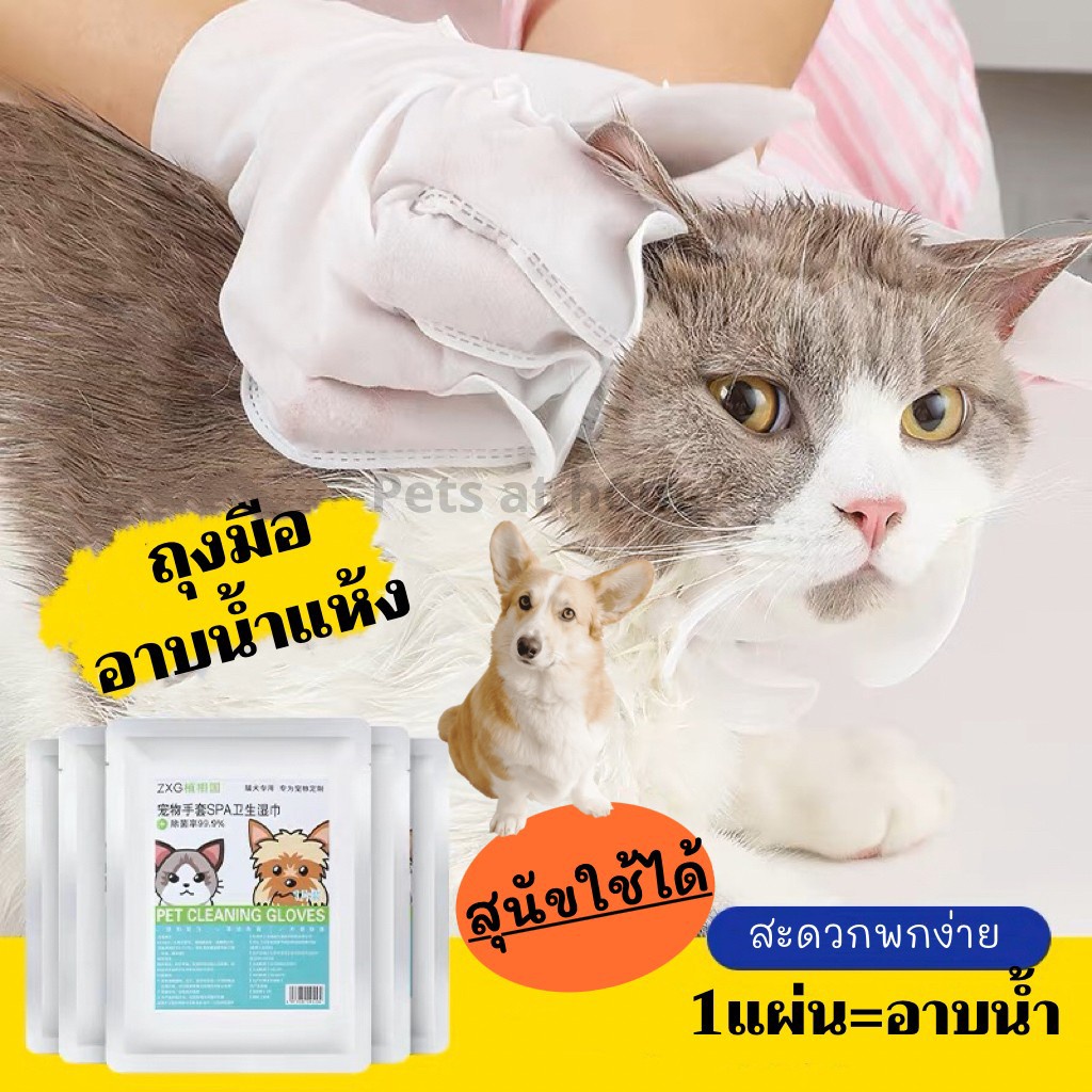 ถุงมือสปาแมว ทำความสะอาดสัตว์เลี้ยง ถุงมืออาบน้ำ ใช้แล้วทิ้ง อาบน้ำแห้ง ดับกลิ่นสัตว์เลี้ยง
