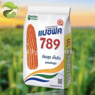 ข้าวโพดเลี้ยงสัตว์ แปซิฟิค789  ขนาดเมล็ด3.5หุน ลอตใหท่❗️❗️❗️