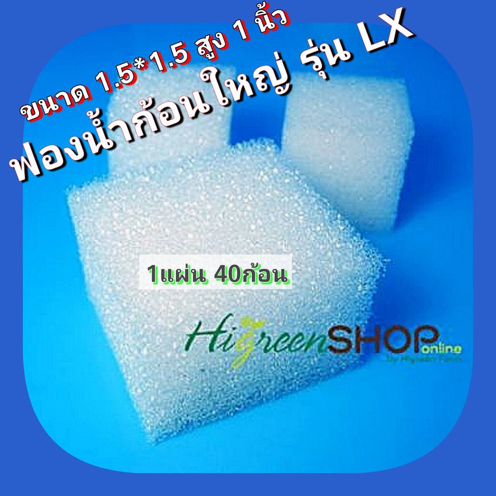 ฟองน้ำก้อนใหญ่เนื้อละเอียด รุ่น LX ขนาด 1.5*1.5 สูง 1 นิ้ว 5 แผ่น