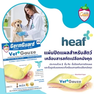 GermGuard VetGauze V3: แผ่นปิดแผลเคลือบสารสกัดเปลือกมังคุด (Xanthone) สำหรับสัตว์เลี้ยง ( 1 ซอง 1 ชิ้น )