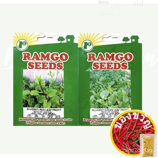 RAMGO SEEDS Alugbati Red &amp; สีเขียวกำไรกระโปรง/คื่นฉ่าย/แม่และเด็ก/ดอกไม้/เสื้อ/มะละกอ/seeds/ผู้ชาย/กุหลาบ/กางเกง/ IY6Y