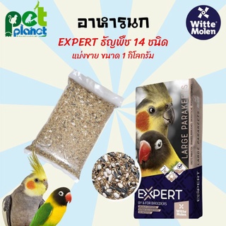 [1kg.] อาหารนก ธัญพืช14ชนิด Expert Premium Latge Parakeets อาหารสำหรับ นก นกค็อกคาเทล นกเลิฟเบิร์ด นกแก้ว ธัญพืชรวม