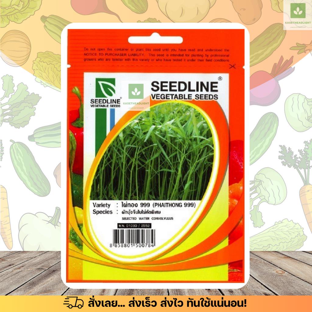 SL ผักบุ้งจีน คัดพิเศษ ไผ่ทอง999 ซีดไลน์