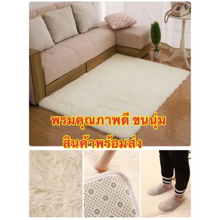 พรม พรมปูพื้นห้อง ขนหนานุ่ม ขนาด 80x120cm,120x160cm พรมปูพื้นห้องนั่งเล่น ห้องรับแขก โต๊ะกินข้าว ห้องนอน พรมโซฟา หรูหรา