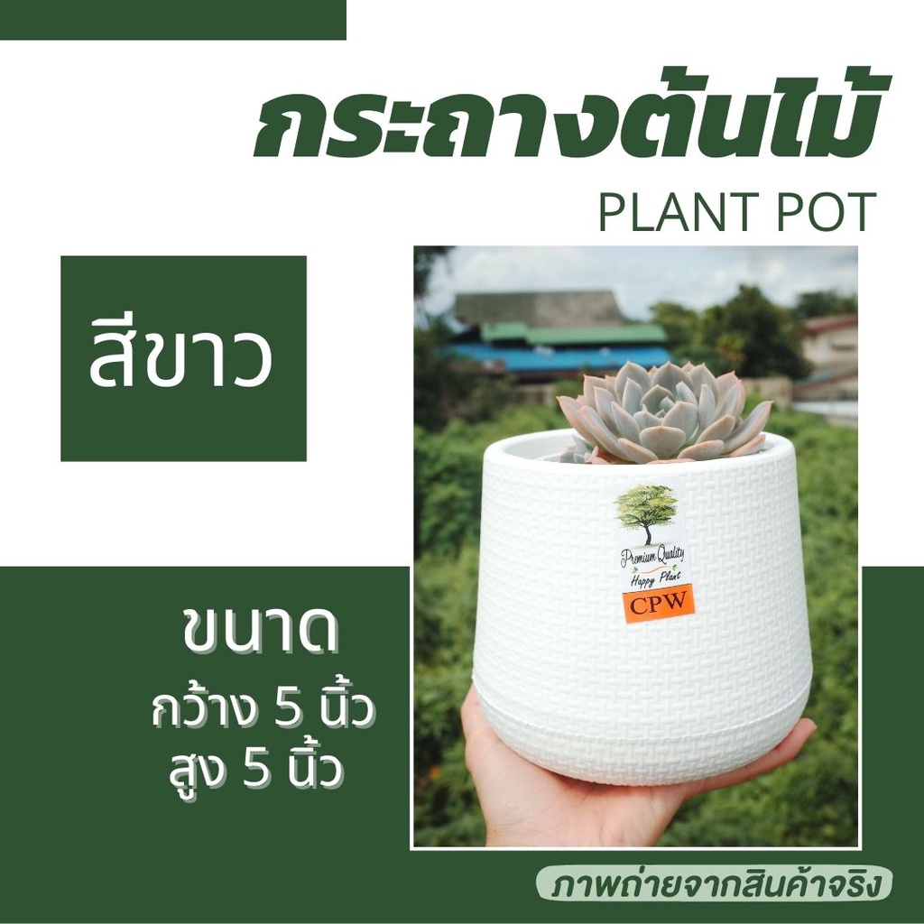 #กระถางต้นไม้สีขาว
#กระถางขนาด5x5นิ้ว
#กระถางมีจุกปิด
#กระถางปลูกไม้น้ำ
#ภาพถ่ายจากสินค้าจริง
