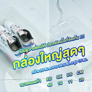 LittleTree กล่องใส่รองเท้าพลาสติก มีฝาปิด ขนาด M/L วางซ้อนได้ แข็งแรง ไม่มีรูระบายอากาศ สำหรับจัดระเบียบบ้าน