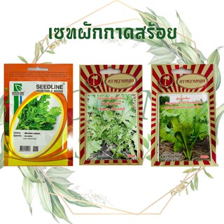 เมล็ดพันธุ์ ผักกาดเขียวน้อย Seedline 10 กรัม ผักกาดสร้อย ชุนฉ่าย ฉุนแรง