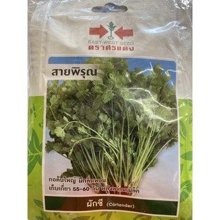 ผักชีสายพิรุณศรแดงแพค10ซอง70บาท👍👍👍👍