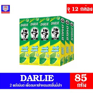 ดาร์ลี่ ยาสีฟัน 2 พลังมินต์ ดับเบิ้ลแอ็คชั่น ขนาด 85 กรัม แพ็ค 12 หลอด