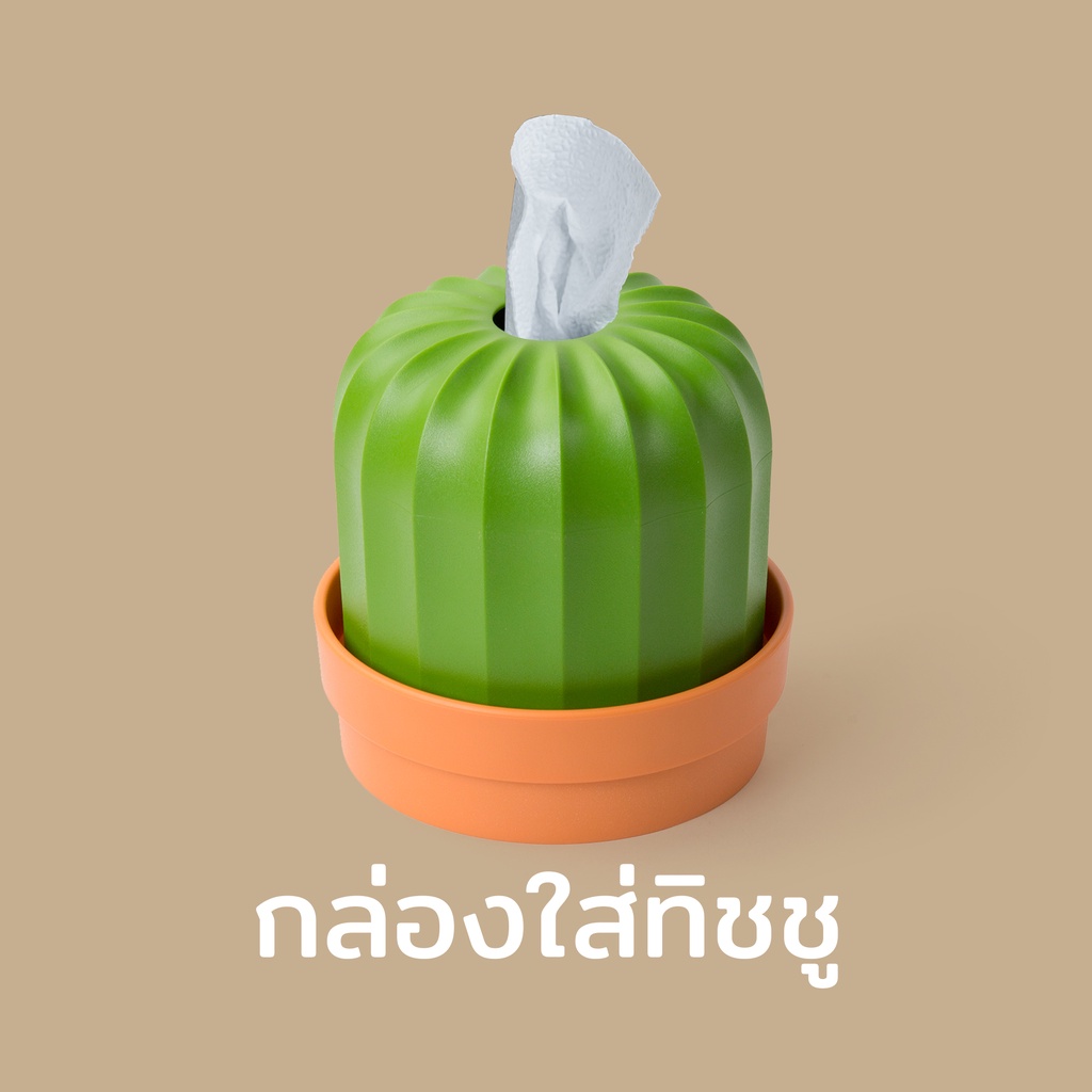 Cactiss กล่องทิชชู่  กระถางต้นไม้ ดีไซน์ ต้นกระบองเพชร  Cactus  Qualy (ควอลี่)