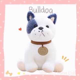 🇹🇭 ตุ๊กตาบลูด็อก Bulldog :: บลูด๊อก บลูด็อค ตุ๊กตาหมา ตุ๊กตาผ้าขน สุนัข ตุ๊กตาน่ารัก สะสม ขนเทียม เหมือนจริง ของเล่นเด็ก