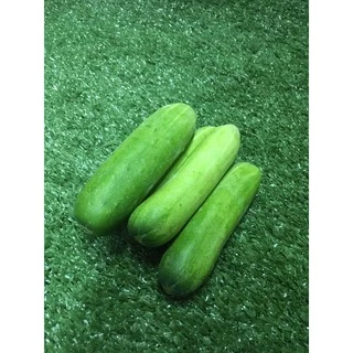 แตงกวาสด 🥒- ผักผลไม้สด
