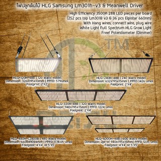 ไฟปลูกต้นไม้ HLG Samsung LM301H v3 Board &amp; Meanwell Driver Indoor Grow Light 120/240/320/480/600 Watt Full Spectrum