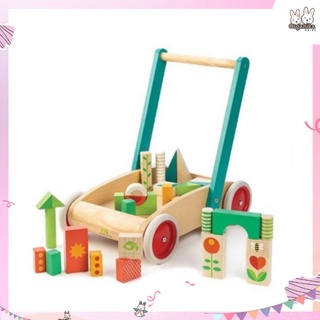 รถเข็นฝึกหัดเดิน Baby Block Walker เสริมพัฒนาการเด็ก จากแบรนด์ Tender Leaf Toys