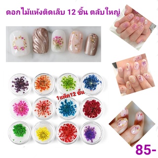 ดอกไม้แห้งติดเล็บ ดอกไม้แห้งฝังเล็บ ดอกไม้แห้งตลับใหญ่ ดอกไม้ติดเล็บ12สี ดอกไม้ติดเล็บ