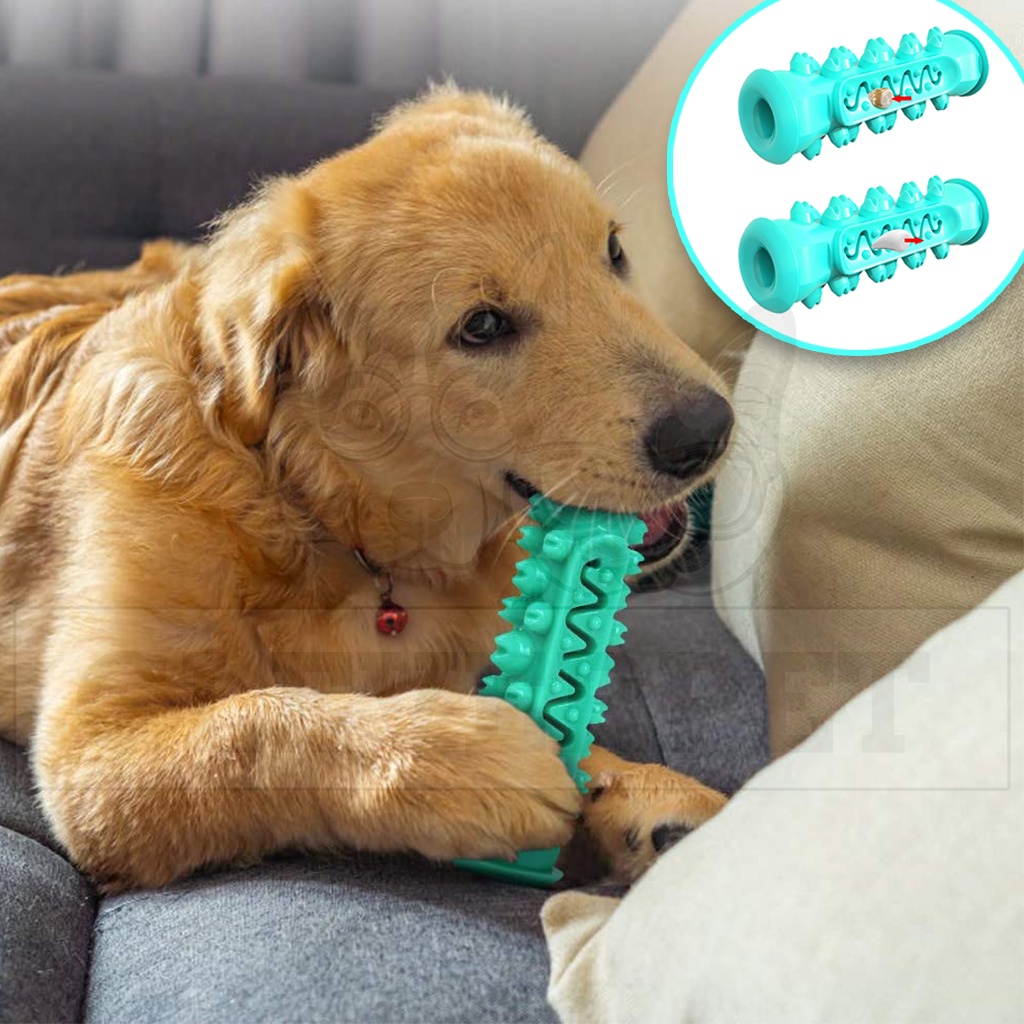 [พร้อมส่ง ] Dog Dental Bone กระดูกแปรงฟัน กระดูกสุนัข กระดูกขัดฟัน ลดกลิ่นปาก ของเล่นสุนัข Dog Toothbrush Cleverpet