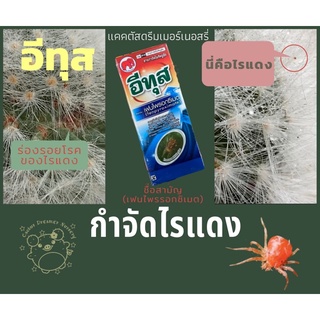 ลด50%ใส่โค้ดINCS83L - อีทุส (เฟนไพรรอกซิเมต)กำจัดไรแดง