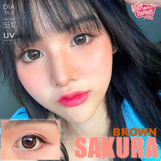 คอนแทคเลนส์ Kitty kawaii รุ่น Sakura brown