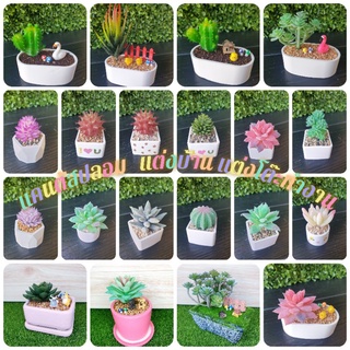 🌵(สินค้าพร้อมส่งในไทย)🌵ต้นไม้ปลอม แคนตัสปลอม ตกแต่งบ้าน ตกแต่งโต๊ะทำงาน