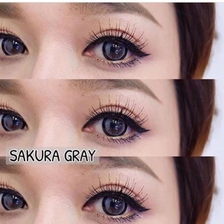 คอนแทคเลนส์ (Sakura) ตาโต