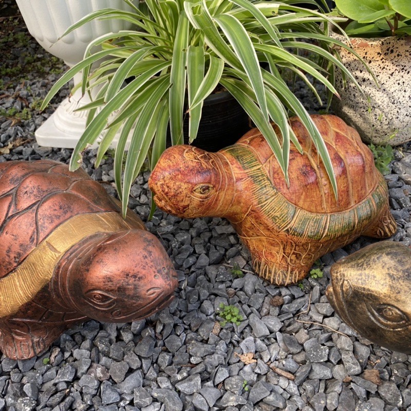 รายการ 101+ ภาพพื้นหลัง รูปปั้นเต่ายักษ์ คมชัด