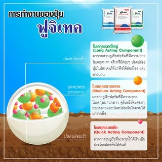 [แบ่งบรรจุ 1 กก.] ปุ๋ย ฟูจิเทค 16-16-16 +5% (Fujitech)พัฒนาจากประเทศญี่ปุ่น ปุ๋ยโซตัส ปุ๋ยฟูจิเทค ปุ๋ยซัลเฟต